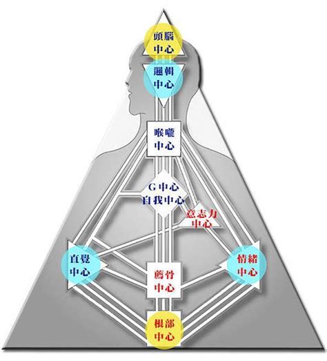 人類圖怎麼看|人類圖免費分析》9大能量中心、通道閘門代表什麼意。